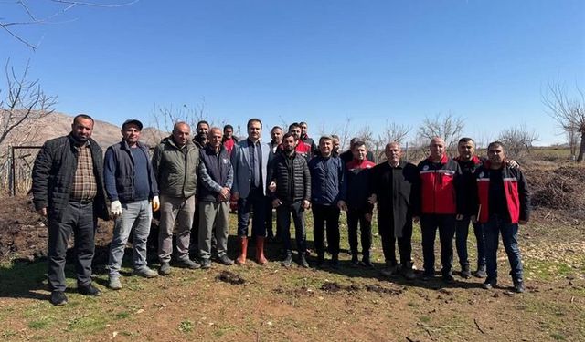 Gercüş Bağcılığında Yeni Arayış: “Birlikte Üretim, Daha Yüksek Verim”