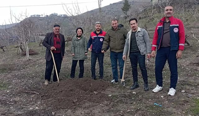 Siirt'te fıstık ağaçları kuruyor, ekipler alarmda