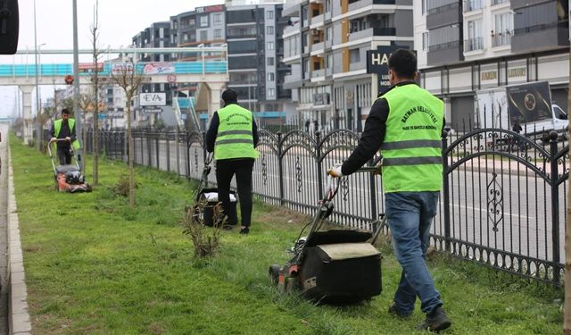 Yeşil Alanlarda Çim Biçme Mesaisi Başladı
