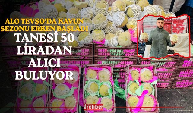 Alo Tevşo’da Kavun Sezonu Erken Başladı: Tanesi 50 Liradan Alıcı Buluyor