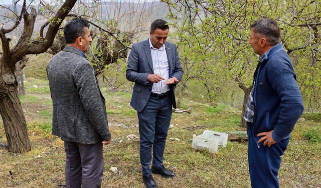 Başkan Ulutaş, doludan etkilenen kayısı üreticilerini ziyaret etti