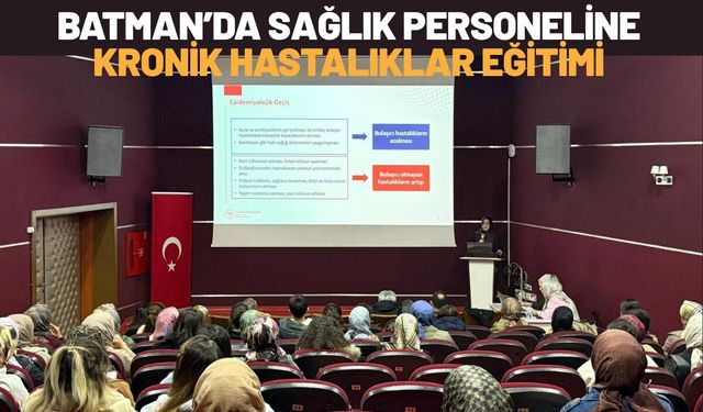 Batman’da Sağlık Personeline Kronik Hastalıklar Eğitimi