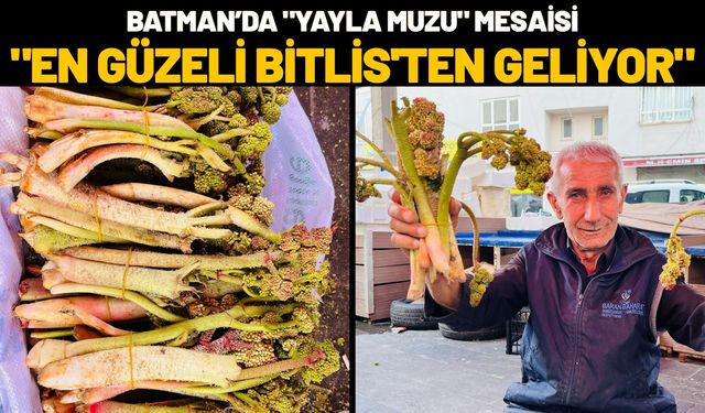 Batman’da "Yayla Muzu" Mesaisi: "En Güzeli Bitlis'ten Geliyor"