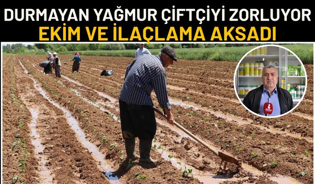Durmayan Yağmur Çiftçiyi Zorluyor: Ekim ve İlaçlama Aksadı