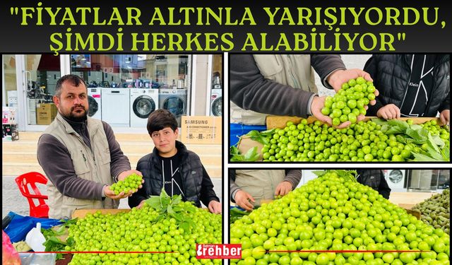 "Fiyatlar Altınla Yarışıyordu, Şimdi Herkes Alabiliyor"