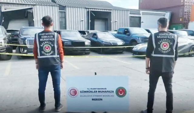 Gümrüklerde 233 kaçak araca el konuldu