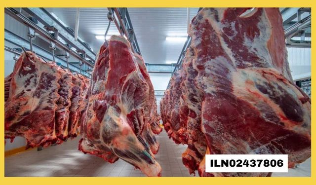 GIDA ÜRÜNLERİ SATIN ALINACAKTIR