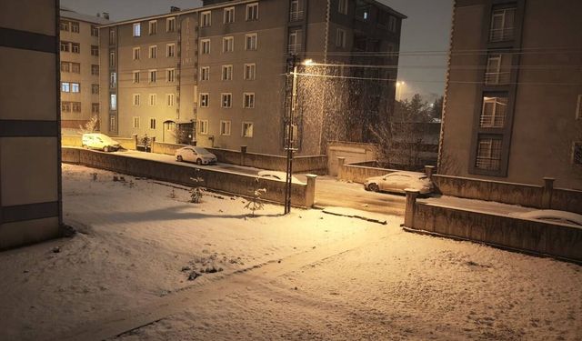 Kars'ta nisan ayının son günlerinde kar etkili oldu