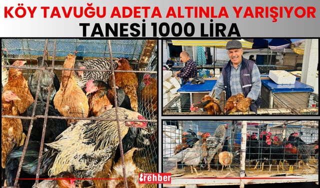Köy Tavuğu Adeta Altınla Yarışıyor: Tanesi 1000 Lira