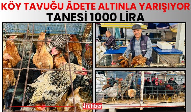 Köy Tavuğu Âdete Altınla Yarışıyor: Tanesi 1000 Lira