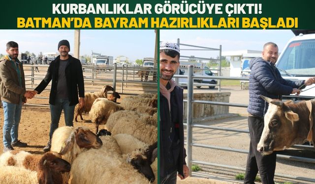 Kurbanlıklar Görücüye Çıktı! Batman’da Bayram Hazırlıkları Başladı