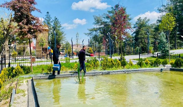 64 Noktada Süs Havuzları Ve Şelaleler Sezona Hazır