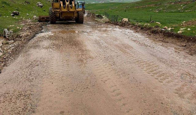 Siirt'te sel ve heyelan sonrası kapanan 70 köy yolu ulaşıma açıldı
