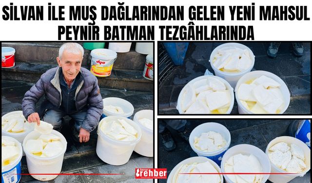 Silvan ile Muş Dağlarından Gelen Yeni Mahsul Peynir Batman Tezgâhlarında