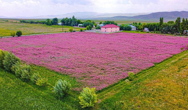 Tarım arazilerinde izinsiz yapılaşma yasağı yürürlüğe girdi