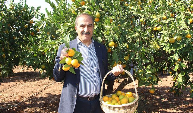 Yaş meyve sebze ihracatı 1 milyar 70 milyon doları aştı