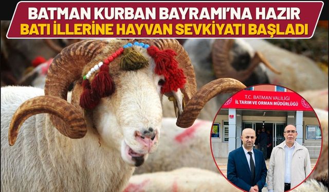 Batman Kurban Bayramı’na Hazır: Batı İllerine Hayvan Sevkiyatı Başladı