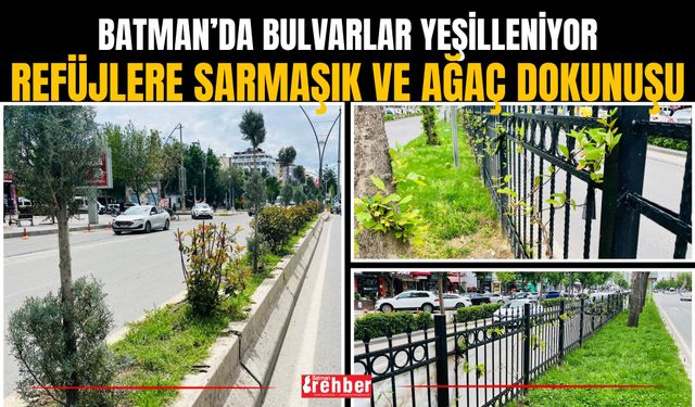 Batman’da Bulvarlar Yeşilleniyor: Refüjlere Sarmaşık Ve Ağaç Dokunuşu
