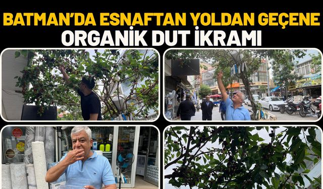 Batman’da Esnaftan Yoldan Geçene Organik Dut İkramı