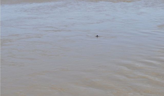 Batman'da sulama havuzuna düşen 3 yaşındaki çocuk hayatını kaybetti