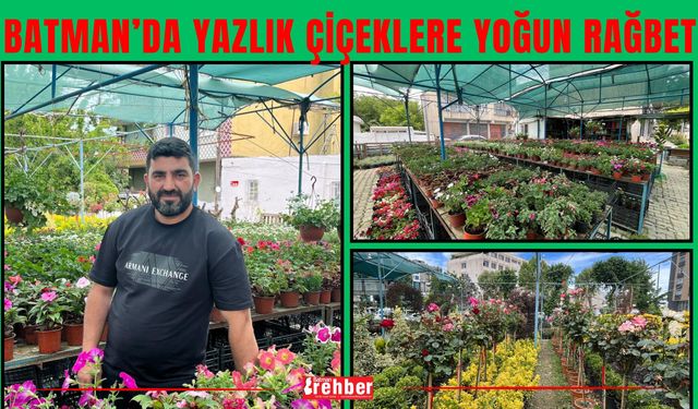 Batman’da Yazlık Çiçeklere Yoğun Rağbet