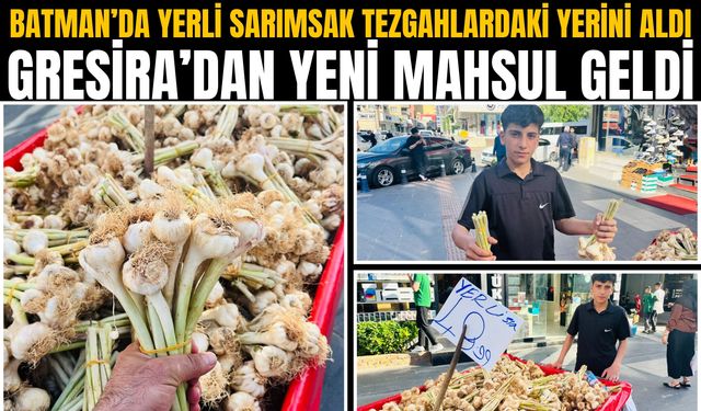 Batman’da Yerli Sarımsak Tezgahlardaki Yerini Aldı: Gresira’dan Yeni Mahsul Geldi