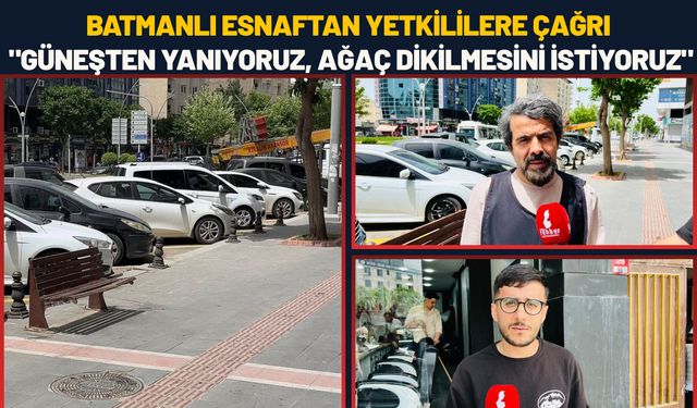 Batmanlı Esnaftan Yetkililere Çağrı: "Güneşten Yanıyoruz, Ağaç Dikilmesini İstiyoruz"