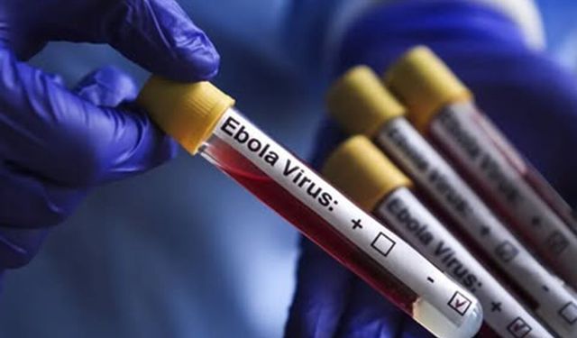 Belçikada Ebolaya karşı önlemler artırılıyor