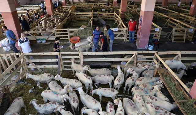 Bursa'da kurban kesim için alınacak tedbirler tamamlandı