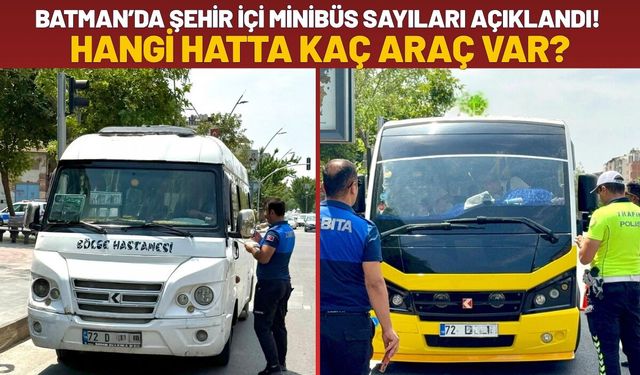 Batman’da Şehir İçi Minibüs Sayıları Açıklandı! Hangi Hatta Kaç Araç Var?
