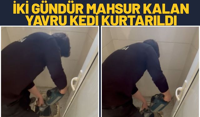 İki Gündür Mahsur Kalan Yavru Kedi Kurtarıldı