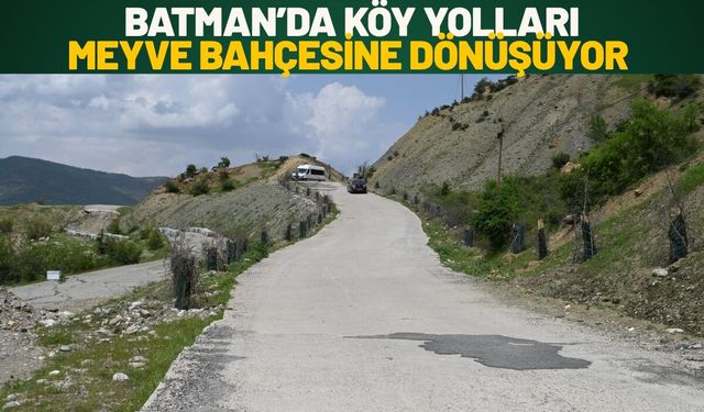 Batman’da Köy Yolları Meyve Bahçesine Dönüşüyor