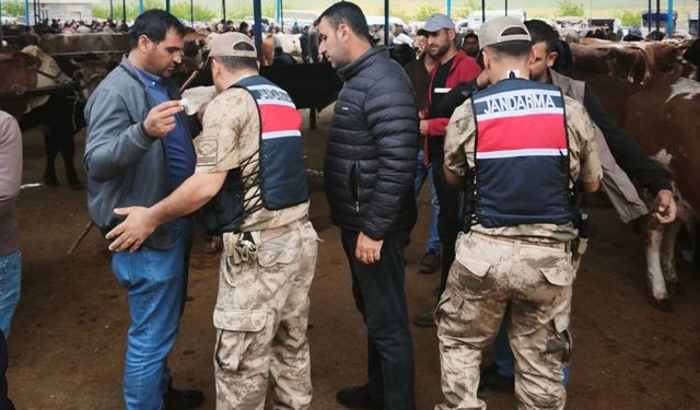 Şanlıurfa'da hayvan pazarlarında Kurban Bayramı tedbirleri artırıldı