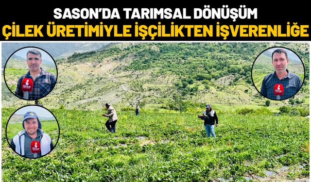 Sason’da Tarımsal Dönüşüm: Çilek Üretimiyle İşçilikten İşverenliğe