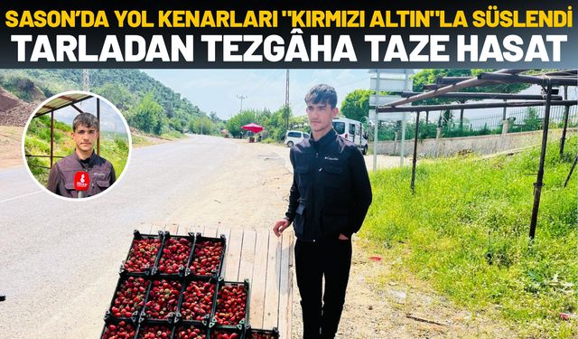 Sason’da Yol Kenarları "Kırmızı Altın"la Süslendi: Tarladan Tezgâha Taze Hasat