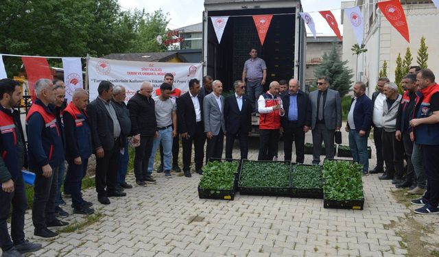 Siirt'te 70 bin sebze fidesi çiftçilere dağıtıldı