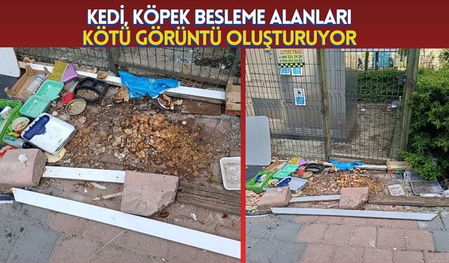 Kedi, Köpek Besleme Alanları Kötü Görüntü Oluşturuyor