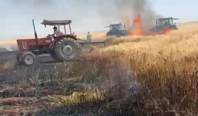 Li Mêrdînê agir bi 500 donim zeviyên çandiniyê ket