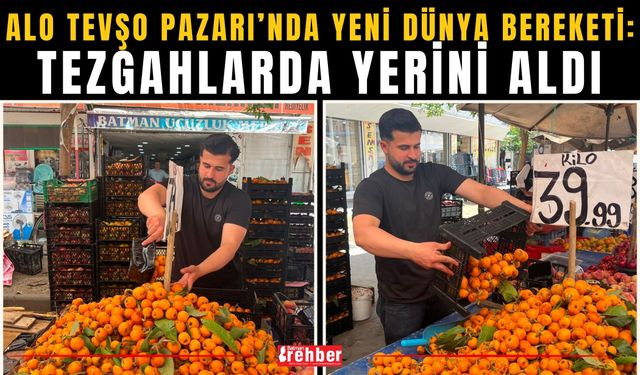 Alo Tevşo Pazarı’nda Yeni Dünya Bereketi: Tezgahlarda Yerini Aldı