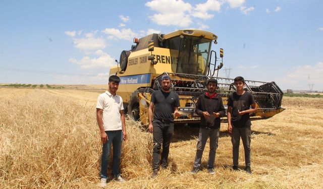 Arpa hasadına başlayan çiftçiler verimden memnun, maliyetlerden şikâyetçi