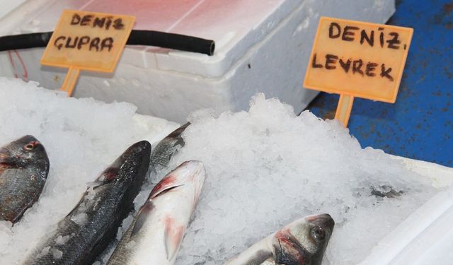 Balık sezonu bitti: Tezgahlarda çupra, levrek, somon ve alabalık var