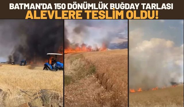 Batman'da 150 Dönümlük Buğday Tarlası Alevlere Teslim Oldu!