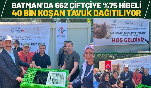Batman’da 662 Çiftçiye %75 Hibeli 40 Bin Koşan Tavuk Dağıtılıyor