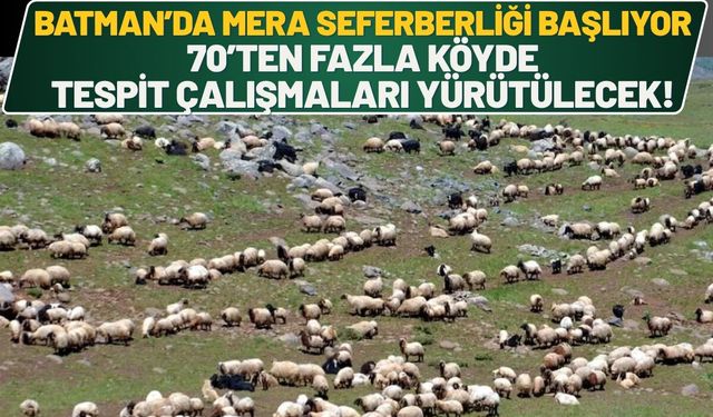 Batman’da Mera Seferberliği Başlıyor: 70’ten Fazla Köyde Tespit Çalışmaları Yürütülecek!
