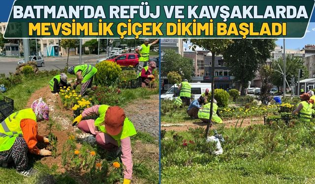 Batman’da Refüj ve Kavşaklarda Mevsimlik Çiçek Dikimi Başladı