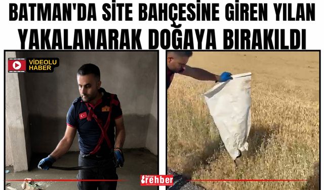 Batman'da Site Bahçesine Giren Yılan Yakalanarak Doğaya Bırakıldı