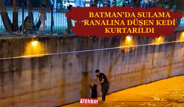 Batman'da sulama kanalına düşen kedi kurtarıldı