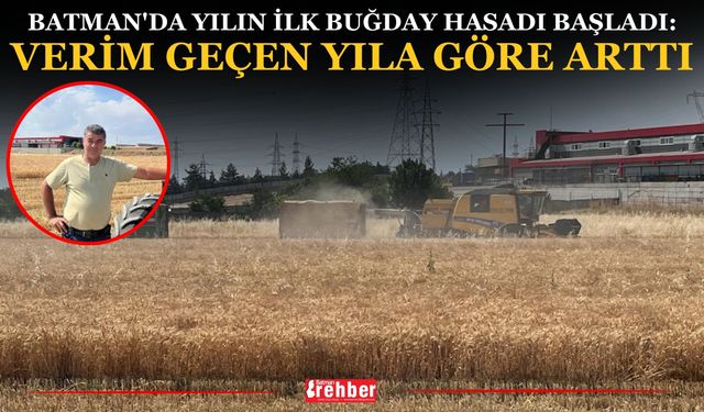 Batman'da Yılın İlk Buğday Hasadı Başladı: Verim Geçen Yıla Göre Arttı