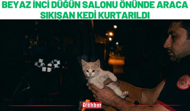 Beyaz İnci Düğün Salonu Önünde Araca Sıkışan Kedi Kurtarıldı