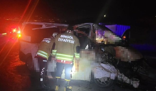 Bingöl'de hafif ticari araç yola çıkan ata çarptı: 1 ölü, 2 yaralı
